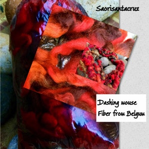 May include: A bag of vibrant red and orange fiber, with a smaller inset image of colorful yarn and stones. The text "Dashing mouse Fiber from Belgium" is visible. The artist's name, "Saorisantacruz", is also displayed.