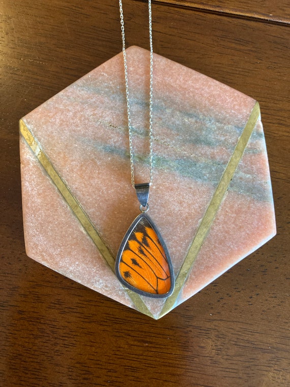 Butterfly Wing Necklace Real Butterfly Wing Necklace Etsy