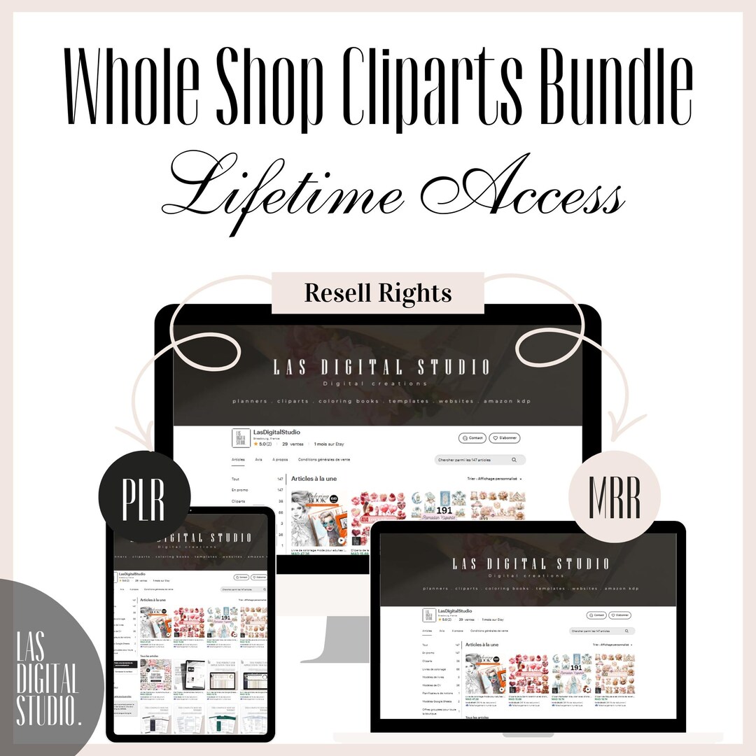 Whole Shop Digital Products Bundle | Lifetime Access, PLR Rights - Etsy