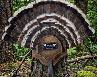 Turkey fan/Beard curved edge mounts