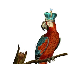 Parrot Wearing Crown PNG bird clip art transparent background digital stamp instant download collage journal scrapbooking