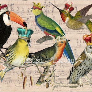 Birds Wearing Crowns Bundle PNG bird clip art Paper Pack hummingbird parrot digital stamp instant download owl journal scrapbooking