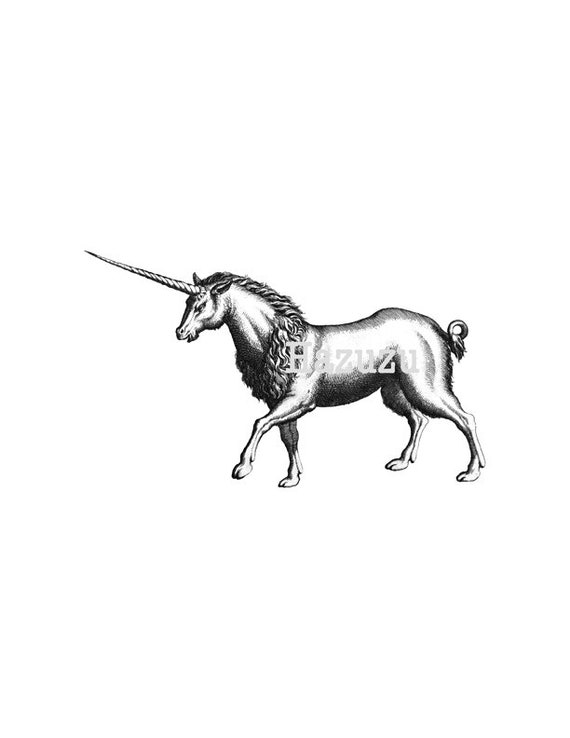 Unicorn Png Clip Art Vintage Fairy Tale Fantasy Medieval Etsy