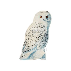 Harfang des neiges PNG oiseau clip art bois fond transparent timbre numérique Téléchargement instantané collage journal scrapbooking