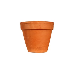 May include: A terracotta flower pot, a classic gardening essential.