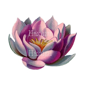 LOTUS BLOSSOM 花 植物 プリント 植物 PNG クリップ アート ビンテージ 透明背景 デジタル スタンプ インスタント ダウンロード ジャーナル