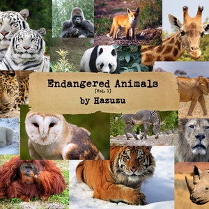 Gefährdete Tiere Arten Bundle 7 Seiten Collage Blätter Natur Clip Art instant download home schooling collage journal scrapbooking