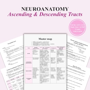 May include: A collection of medical study notes on neuroanatomy, including ascending and descending tracts, lesion localization, and the dorsal column-medial lemniscus pathway. The documents are in black and white with pink accents, and include the text "NEUROANATOMY" and "Master map".