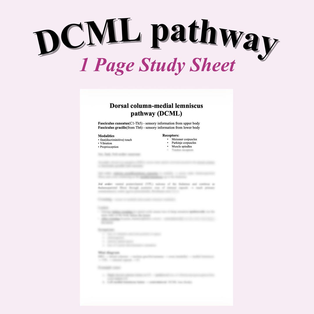 DCML Pathway & Lesion Localization | Dorsal Column–medial Lemniscus ...
