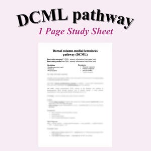 May include: A study sheet titled "DCML pathway" with the text "1 Page Study Sheet" in pink. The sheet details the dorsal column-medial lemniscus pathway, including modalities and receptors. The background is a light pink.