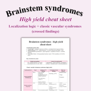 May include: A medical reference sheet titled "Brainstem syndromes - high yield cheat sheet." The document includes lists of localization quick rules, key structures by zone, and classic vascular brainstem syndromes, with associated findings.