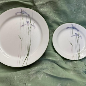 May include: Two white ceramic plates with a floral design. The larger plate is approximately 10 inches in diameter, and the smaller plate is about 7 inches. Each plate features a delicate watercolor-style illustration of purple irises and green stems.