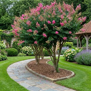 May include: A lush garden scene featuring a winding stone path bordered by vibrant green grass. Three trees with pink blossoms stand in the center, surrounded by other flowering plants and a gazebo in the background. The scene is well-manicured and inviting.