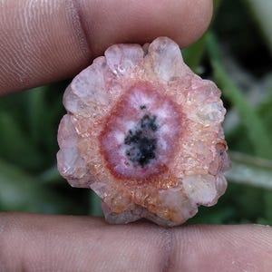 May include: A close-up of a small, round, natural stone with a flower-like appearance. The stone features a central dark area surrounded by a red ring, with a light pink and clear outer edge. The stone is held between two fingers.