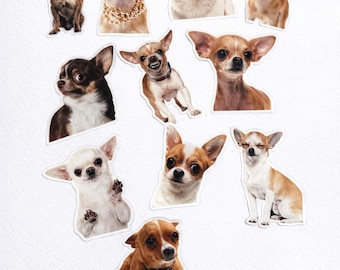 2 adesivi per cani Chihuahua Dog Heartbeat Love Sticker Riflettente Divertente Adesivo Auto JDM Sticker Animale Auto Adesivi Impermeabili per Auto Camion Computer Laptop