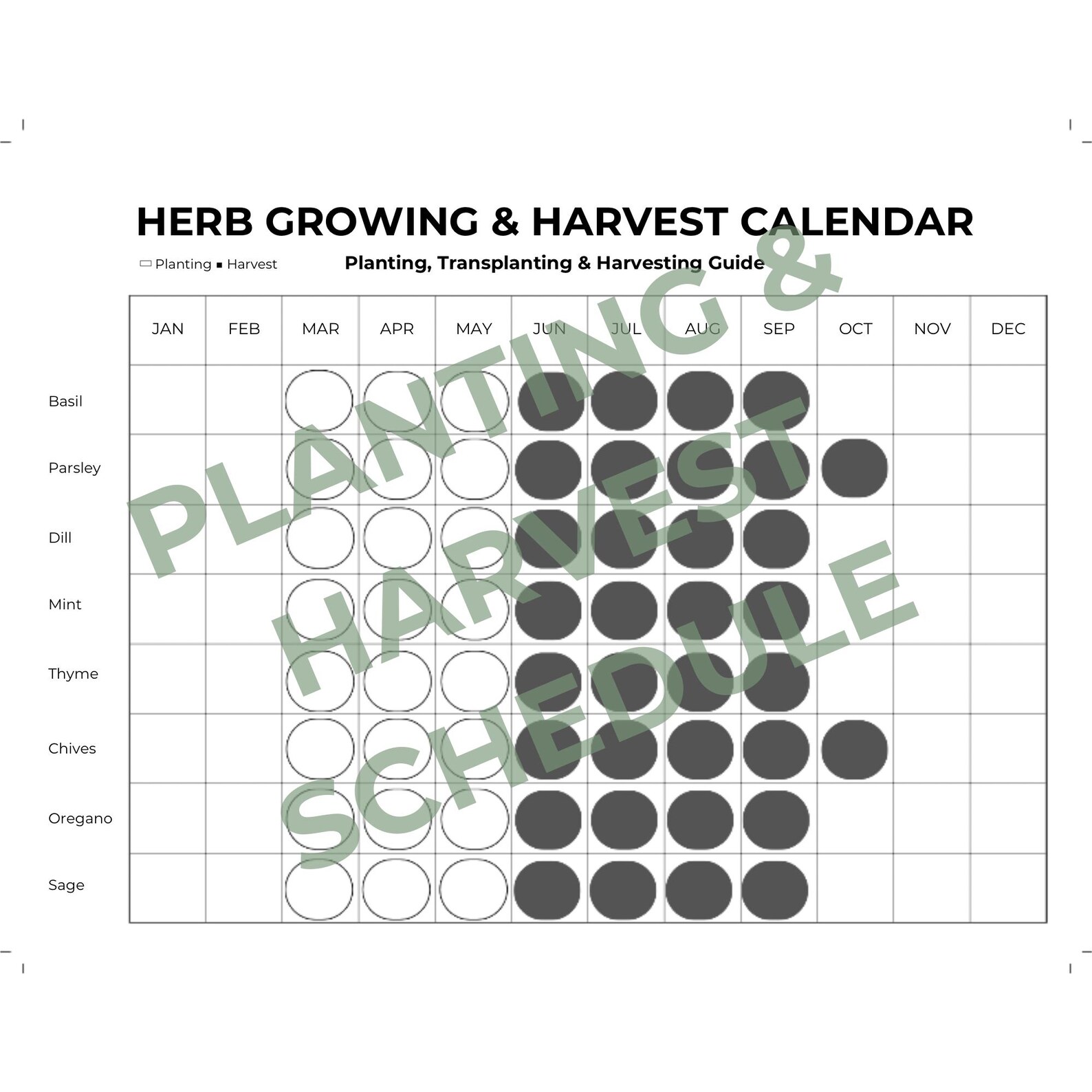 Printable Garden & Plant Growing Calendars - Etsy