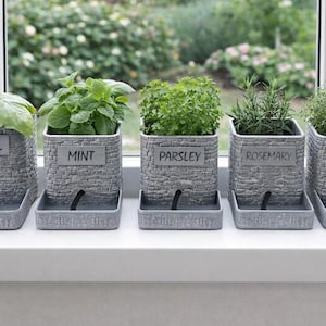 May include: Five grey rectangular herb planters with a stone-like texture sit on a windowsill. Each planter holds a different herb: basil, mint, parsley, rosemary, and thyme. Each planter has a label with the herb's name.