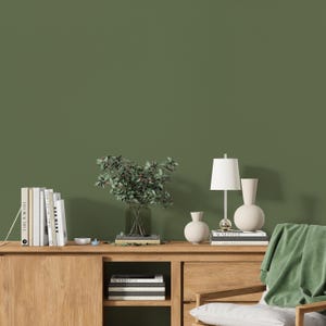 Può includere: Scena di soggiorno moderno con un mobile in legno, adornato con libri, vasi e una lampada. Una coperta verde è drappeggiata su una sedia. Lo sfondo è una parete verde oliva, creando un design d'interni elegante.