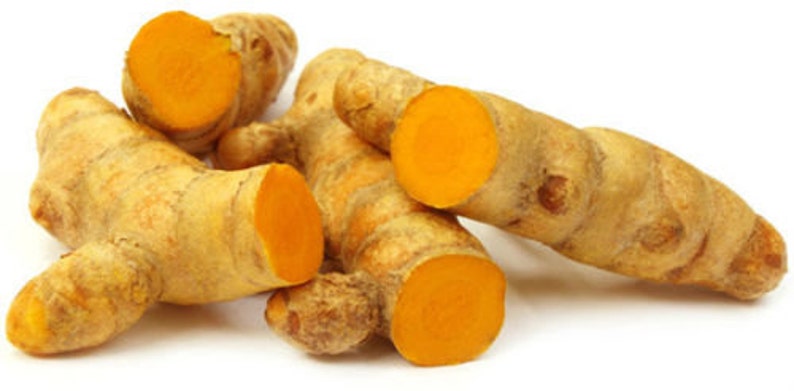 10 Turmeric Curcuma Longa Rhizomes edible Organic Live plant flower spice fresh sprouting leafless root stock Planting or Antioxidant Food image 4