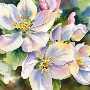 Spring flowers &quot;Delicate and Dainty&quot; cherry blossoms watercolor floral