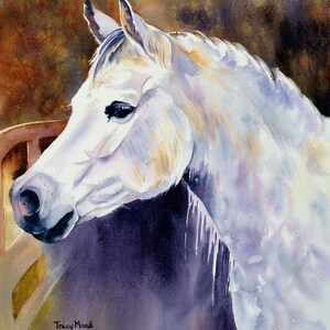 Horse picture  White Horse Waiting for the master watercolor horse