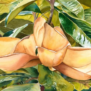 Magnolia blossom &quot;Aging Beauty&quot; watercolor floral