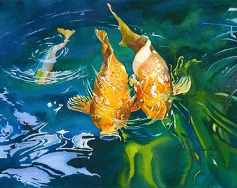 Koi pond watercolor koi fish Three's Company? watercolor painting