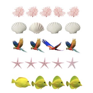 May include: A worksheet featuring illustrations of coral, seashells, parrots, starfish, and yellow fish. The text at the top says, "Circle the one in each row that's different from the others."