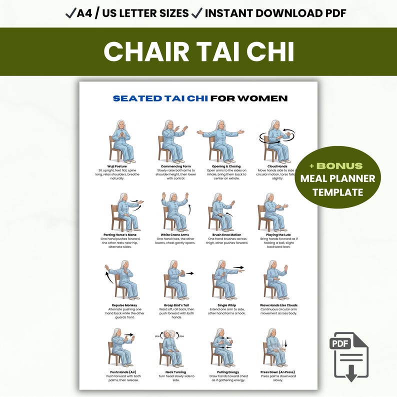 Chair Tai Chi Poster, Seated Tai Chi for Women, Tai Chi for Seniors and