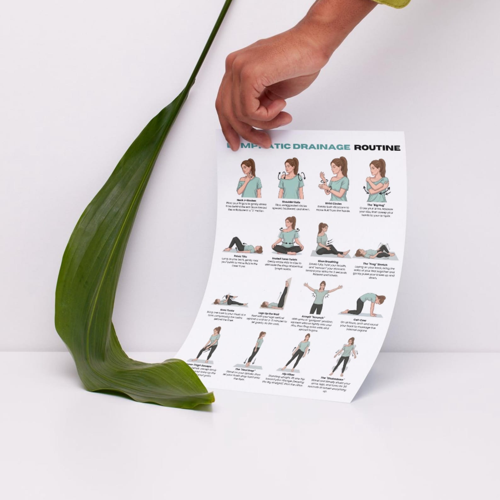 Lymphatic Drainage Chart, Reduce Swelling Bundle, Gua Sha Facial ...