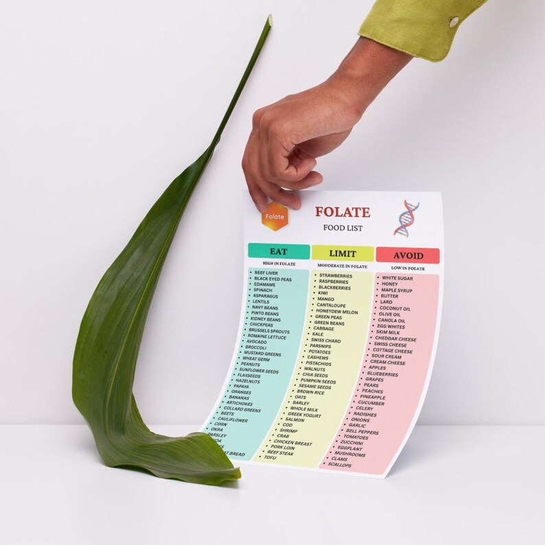 Folate Food List, Vitamin B9 Rich Foods, Nutrition Guide (PDF Download ...
