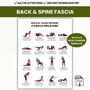 May include: A digital instructional chart titled Back and Spine Fascia Release featuring twelve illustrations of a person in maroon athletic wear performing various stretches and exercises with descriptive text and repetition counts for each movement.