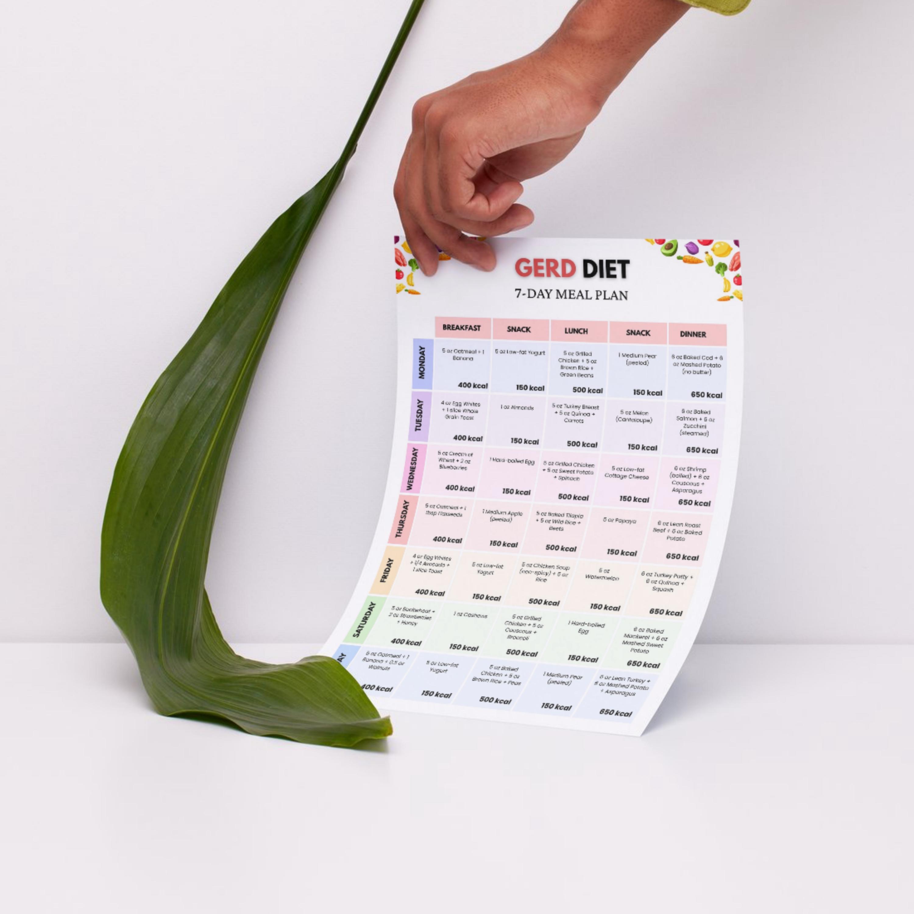 Gerd Menu Plan Example GERD Diet 7 Day Meal Plan Printable, Acid Reflux Friendly, Heartburn ...