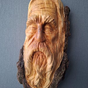 Può includere: Intaglio in legno dettagliato del volto di un uomo anziano, con una lunga barba e sopracciglia aggrottate. L'intaglio è montato su un pezzo di corteccia d'albero, mostrando la venatura e la consistenza naturale del legno. L'opera d'arte è di un colore caldo e naturale.
