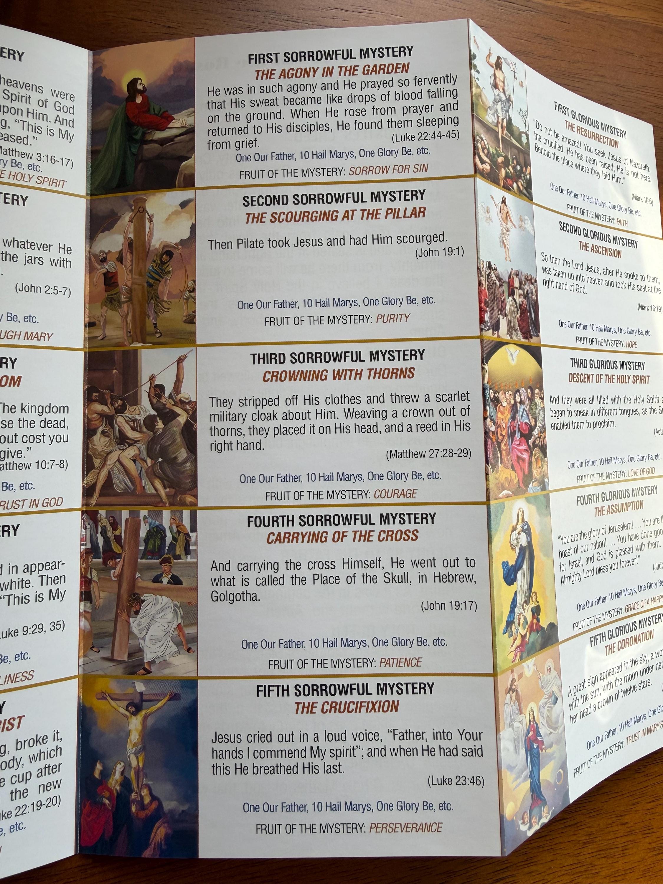Pray the Rosary Daily Catholic Pamphlet Rosary Prayer Guide Folded ...