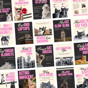Puede incluir: Una colección de carteles informativos sobre gatos. Los carteles presentan varias razas de gatos, consejos para el cuidado de los gatos e información sobre el comportamiento de los gatos. El esquema de color incluye texto negro, blanco y rosa sobre un fondo oscuro.