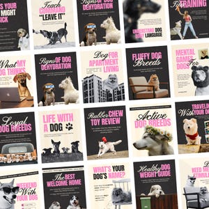Plantillas de Instagram para perros en Canva, publicaciones para redes sociales de negocios de mascotas (descarga digital)