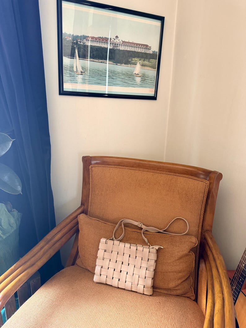 Pu&ograve; includere: Una borsa a mano rosa chiaro intrecciata con una tracolla &egrave; appoggiata su un cuscino marrone. La borsa ha una forma rettangolare con un design intrecciato. Una foto incorniciata di un edificio su un lago &egrave; appesa al muro.