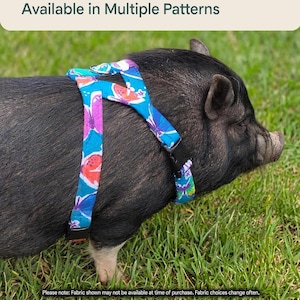 Flannel Mini Pig Harness - You Choose Fabric
