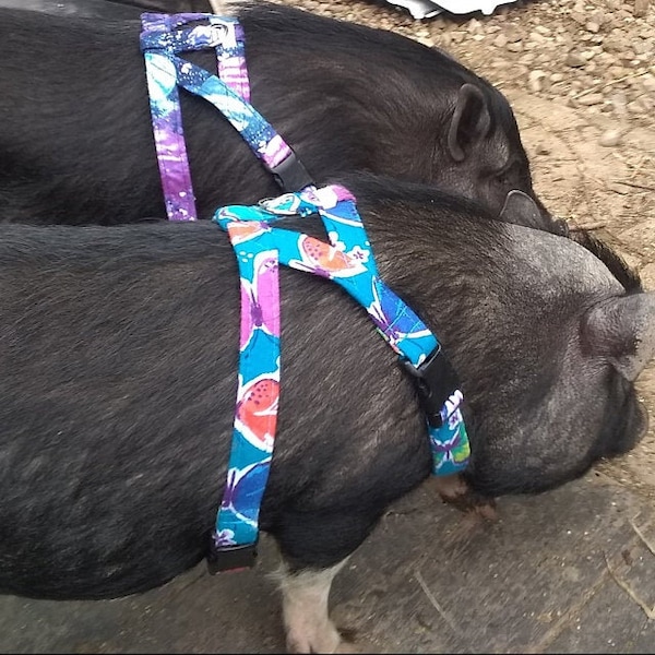 Flannel Mini Pig Harness - You Choose Fabric