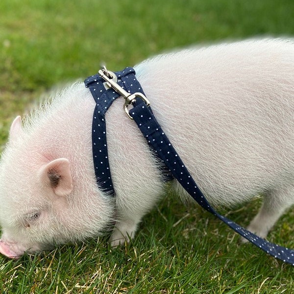 Mini-Schweinchengeschirr aus Baumwolle – Sie wählen den Stoff