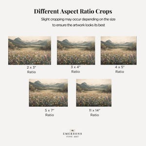 May include: Image displaying various aspect ratio crops of a landscape painting. The artwork features a field of wildflowers with mountains in the background. Text at the top reads "Different Aspect Ratio Crops". The image includes crops in 2 x 3", 3 x 4", 4 x 5", 5 x 7", and 11 x 14" ratios.