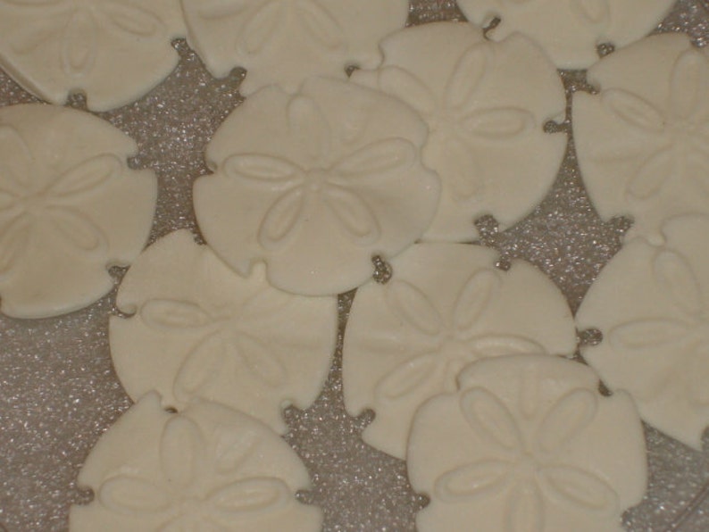 Gumpaste Sand Dollar Edible Cup Cake Toppers Cookies Cake Etsy