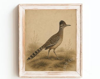 Southwest Roadrunner Bird Print: Vintage Southwestern, Frameless Wall Art