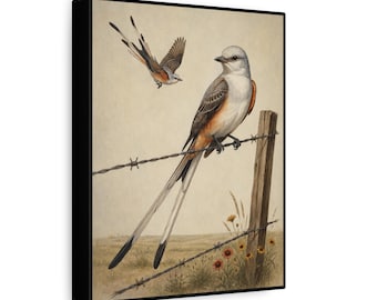 Southwestern Scissortail Flycatcher Wall Art, Southern Vintage Bird Decor