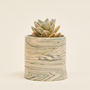 Puede incluir: Una pequeña planta suculenta en una maceta cilíndrica de cerámica. La maceta tiene un diseño veteado con tonos verdes y crema. La suculenta tiene hojas carnosas, de color verde pálido con un toque de rosa.