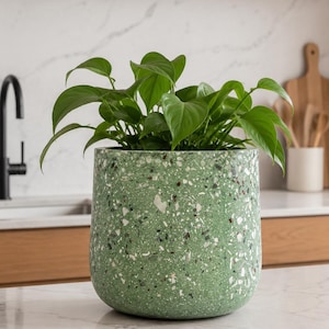 May include: A cylindrical plant pot with a green terrazzo finish featuring white, black, and brown flecks. The pot contains a lush green plant with heart-shaped leaves, displaying a smooth, rounded base and a wide, open top for planting.