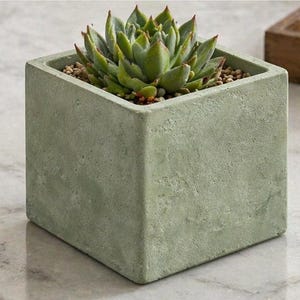 May include: A square, light green concrete planter with a succulent plant. The plant has green leaves and is planted in small brown pebbles. The planter is on a marble surface.