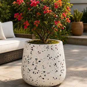May include: A large, tapered, white terrazzo planter featuring a speckled pattern of black and grey stone chips. The planter contains a vibrant bougainvillea shrub with bright pink and orange flowers and green leaves, with moss at the base.
