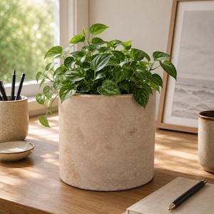 Beton Pot - Etsy